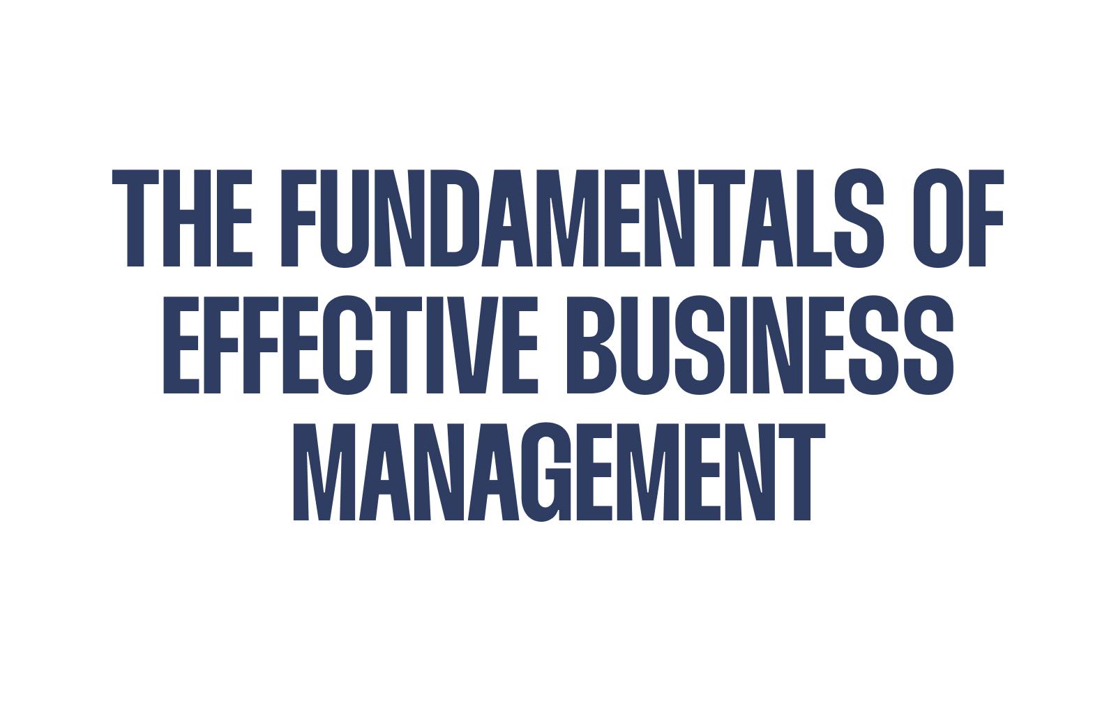 The Fundamentals of Effective Business Management