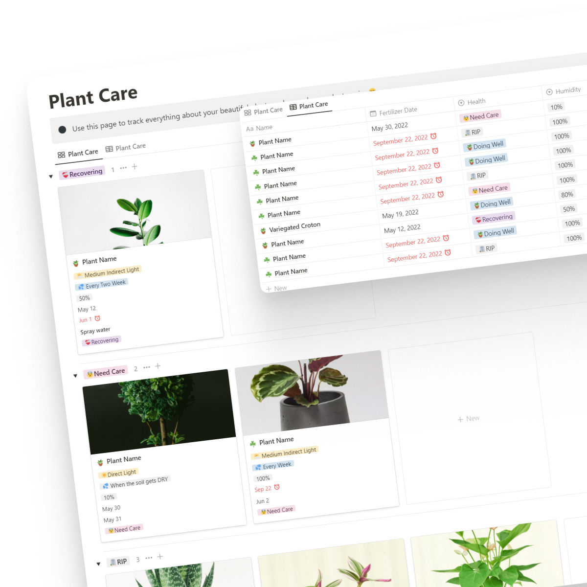 Notion Plant Care Dashboard