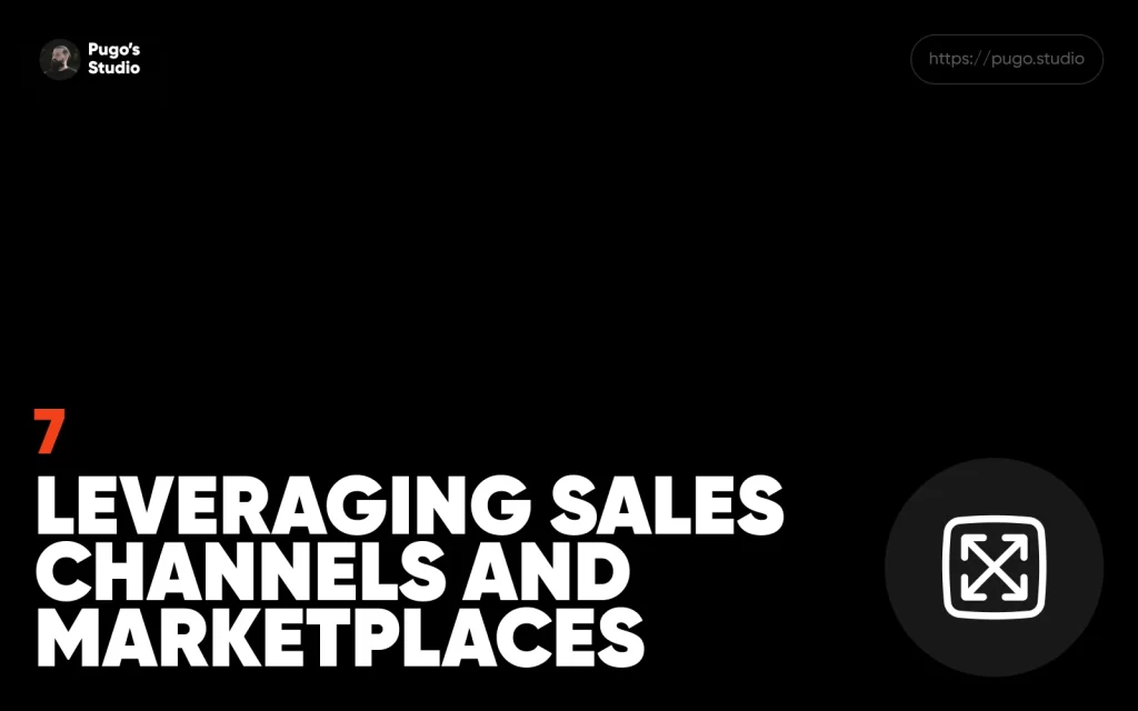 Leveraging Sales Channels and Marketplaces